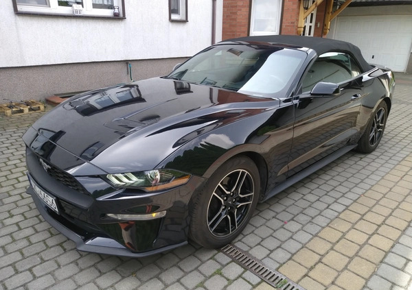 Ford Mustang cena 93000 przebieg: 100000, rok produkcji 2018 z Mogilno małe 326